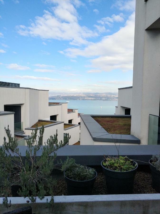 Apartment Morski Cvet Koper Exteriör bild